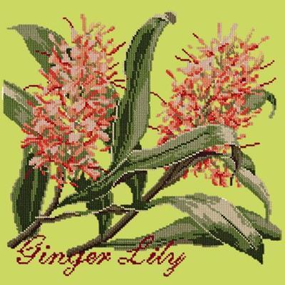 Ginger Lily Needlepoint Kit Kits Elizabeth Bradley Design Pale Lime 