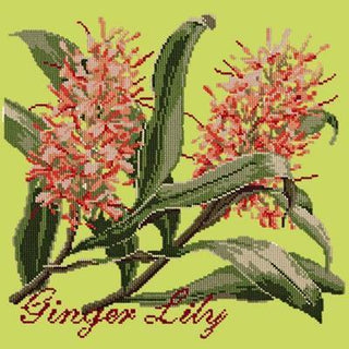 Ginger Lily Needlepoint Kit Kits Elizabeth Bradley Design Pale Lime 
