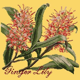 Ginger Lily Needlepoint Kit Kits Elizabeth Bradley Design Sunflower Yellow 
