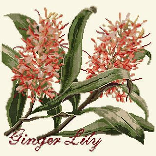 Ginger Lily Needlepoint Kit Kits Elizabeth Bradley Design Winter White 
