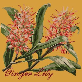 Ginger Lily Needlepoint Kit Kits Elizabeth Bradley Design Yellow 
