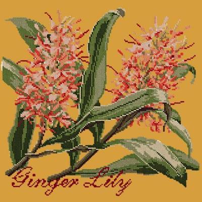 Ginger Lily Needlepoint Kit Kits Elizabeth Bradley Design Yellow 
