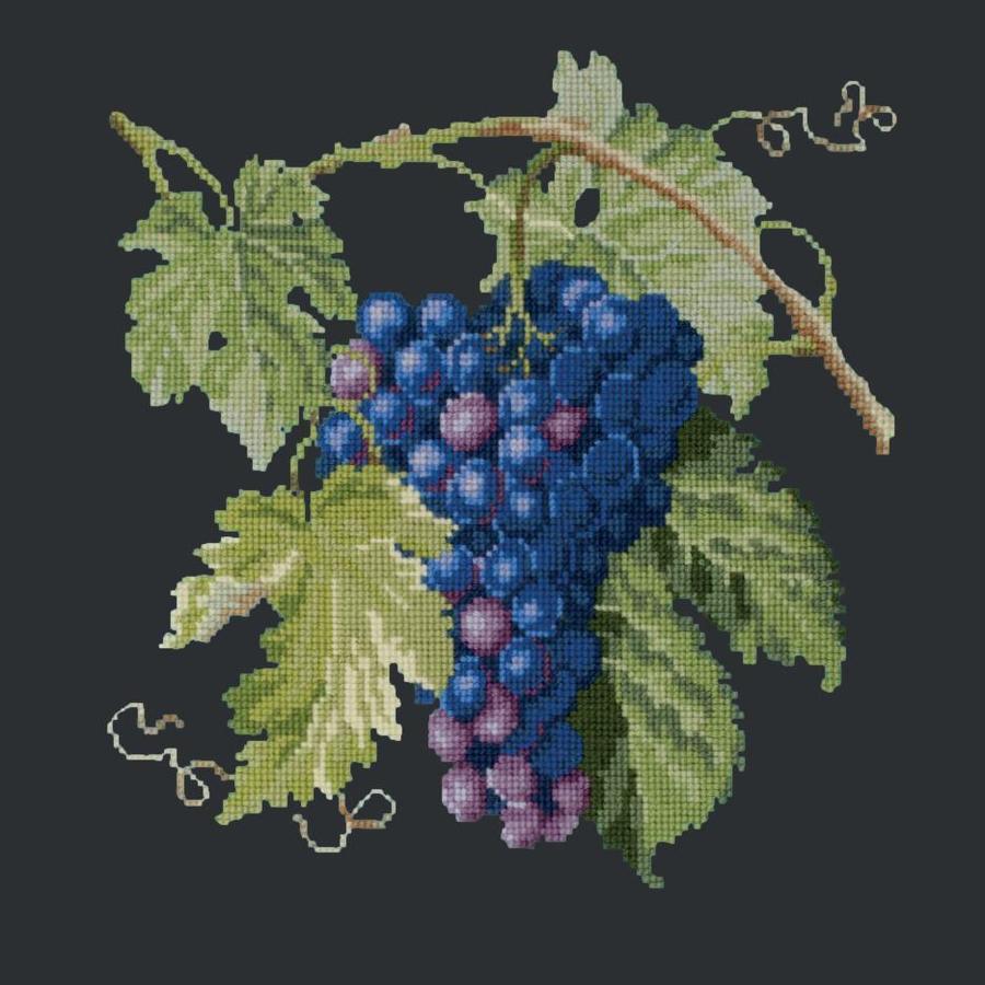 Grapes Needlepoint Kit Kits Elizabeth Bradley Design Black 