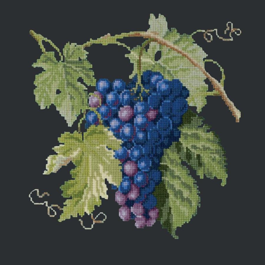 Grapes Needlepoint Kit Kits Elizabeth Bradley Design Black 
