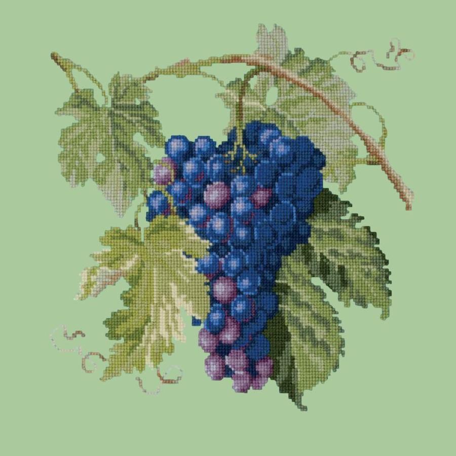 Grapes Needlepoint Kit Kits Elizabeth Bradley Design Pale Green 
