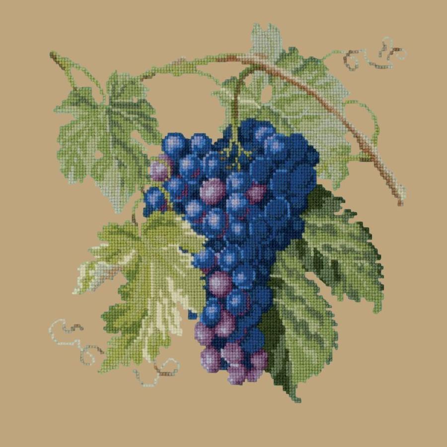 Grapes Needlepoint Kit Kits Elizabeth Bradley Design Sand 
