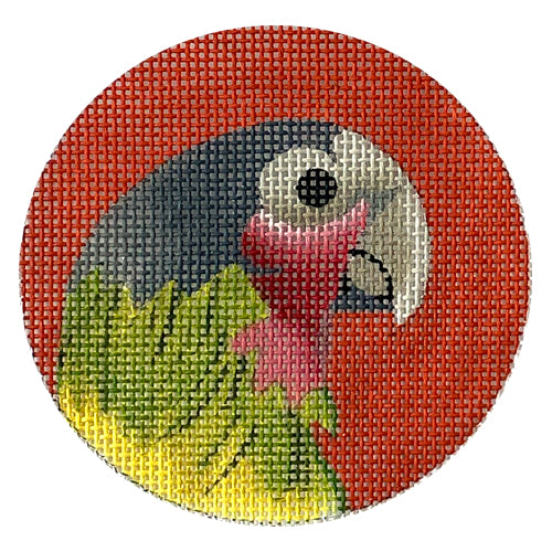 Green Parrot on Red Round Painted Canvas Colors of Praise  - 1