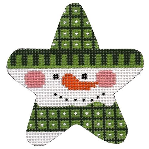 Green Snowman Star on 13 mesh Painted Canvas Danji Designs  - 1