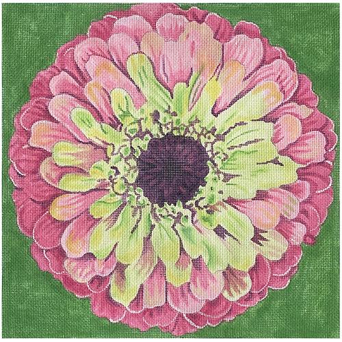 Grenadine Zinnia/Green Background Painted Canvas The Meredith Collection 