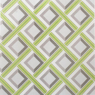 Havana Green Kit Kits Needlepoint To Go 
