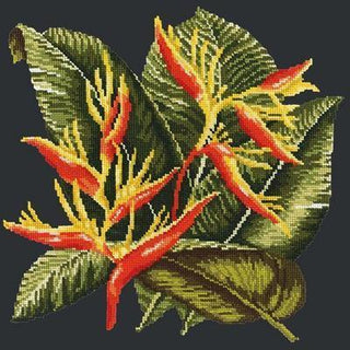Heliconia Needlepoint Kit Kits Elizabeth Bradley Design Black 
