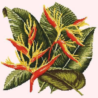 Heliconia Needlepoint Kit Kits Elizabeth Bradley Design Cream 
