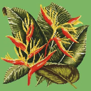 Heliconia Needlepoint Kit Kits Elizabeth Bradley Design Grass Green 
