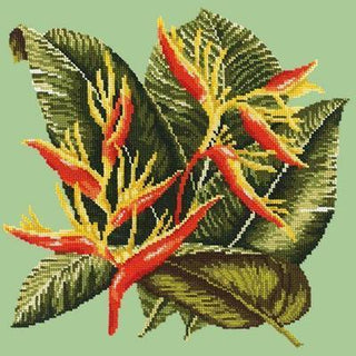 Heliconia Needlepoint Kit Kits Elizabeth Bradley Design Pale Green 
