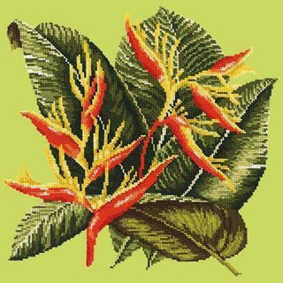 Heliconia Needlepoint Kit Kits Elizabeth Bradley Design Pale Lime 
