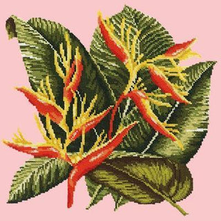Heliconia Needlepoint Kit Kits Elizabeth Bradley Design Pale Rose 

