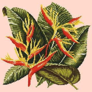 Heliconia Needlepoint Kit Kits Elizabeth Bradley Design Salmon Pink 
