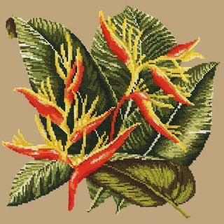 Heliconia Needlepoint Kit Kits Elizabeth Bradley Design Sand 
