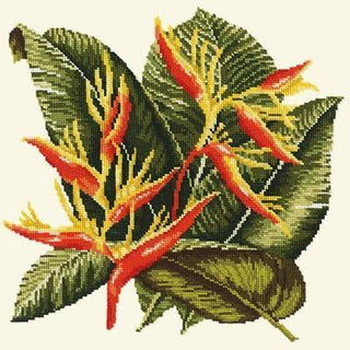 Heliconia Needlepoint Kit Kits Elizabeth Bradley Design Winter White 
