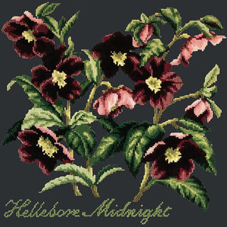 Hellebore Midnight Needlepoint Kit Kits Elizabeth Bradley Design Black 
