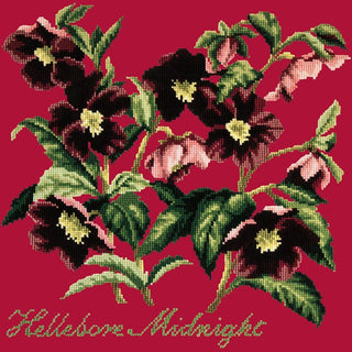 Hellebore Midnight Needlepoint Kit Kits Elizabeth Bradley Design Bright Red 
