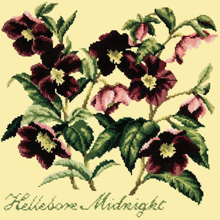 Hellebore Midnight Needlepoint Kit Kits Elizabeth Bradley Design Butter Yellow 
