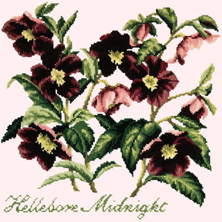 Hellebore Midnight Needlepoint Kit Kits Elizabeth Bradley Design Cream 
