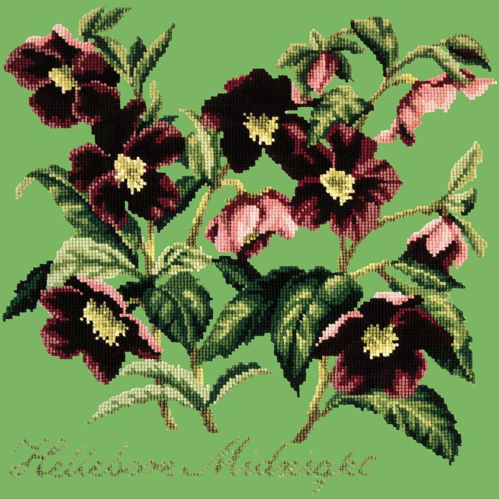 Hellebore Midnight Needlepoint Kit Kits Elizabeth Bradley Design Grass Green 