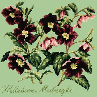 Hellebore Midnight Needlepoint Kit Kits Elizabeth Bradley Design Pale Green 
