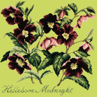 Hellebore Midnight Needlepoint Kit Kits Elizabeth Bradley Design Pale Lime 
