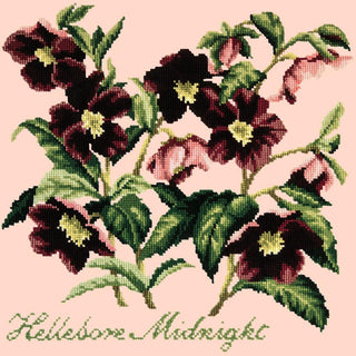 Hellebore Midnight Needlepoint Kit Kits Elizabeth Bradley Design Salmon Pink 
