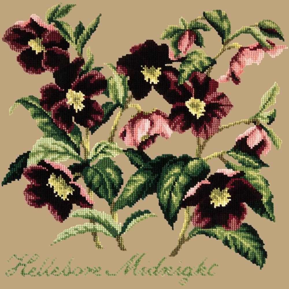 Hellebore Midnight Needlepoint Kit Kits Elizabeth Bradley Design Sand 