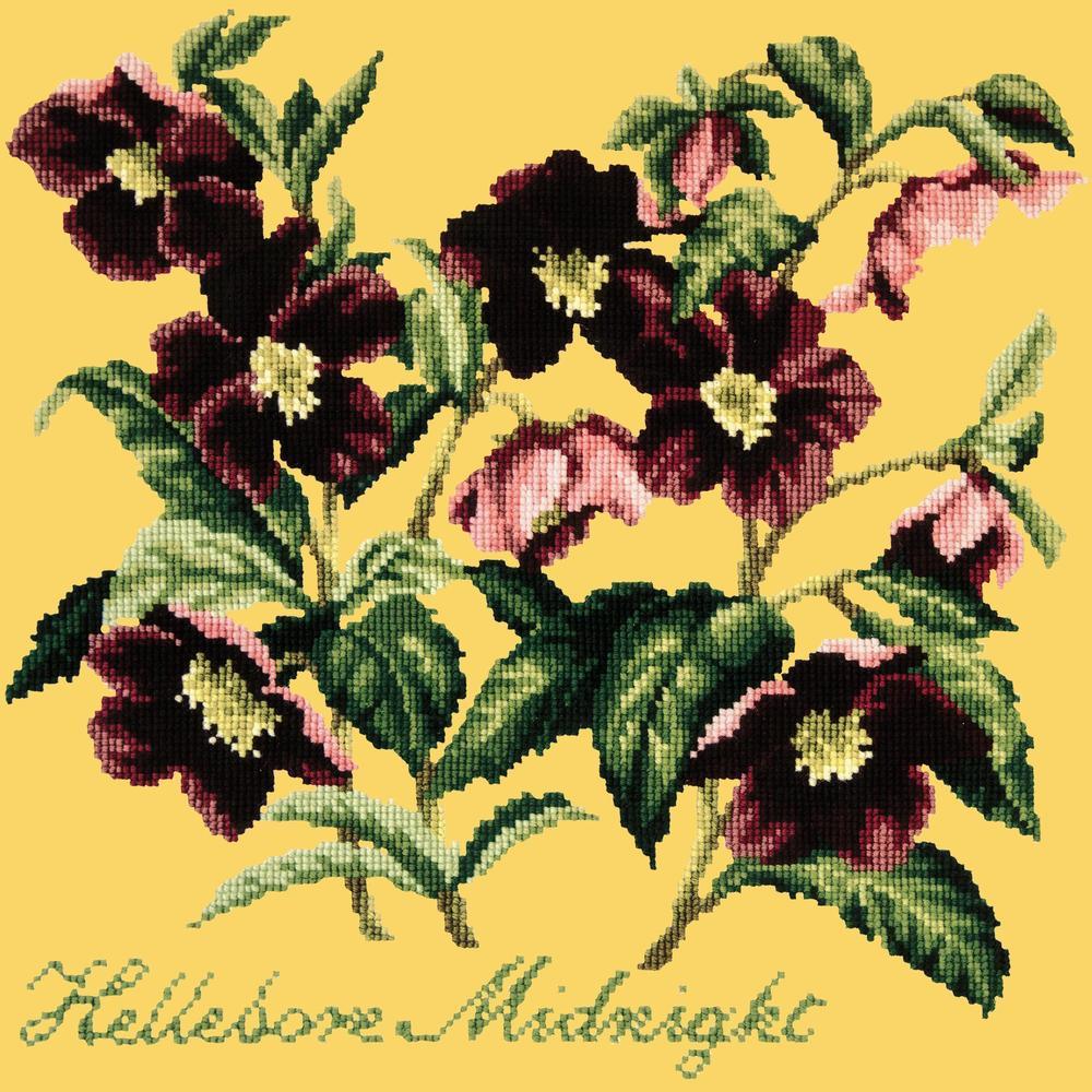Hellebore Midnight Needlepoint Kit Kits Elizabeth Bradley Design Sunflower Yellow 
