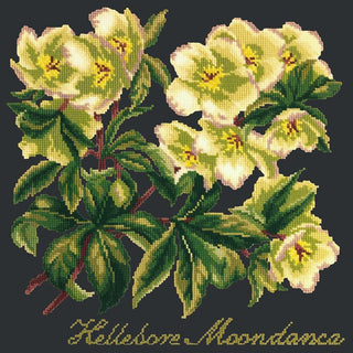 Hellebore Moondance Needlepoint Kit Kits Elizabeth Bradley Design Black 
