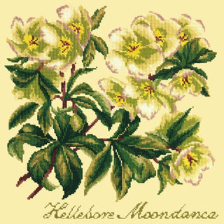 Hellebore Moondance Needlepoint Kit Kits Elizabeth Bradley Design Butter Yellow 
