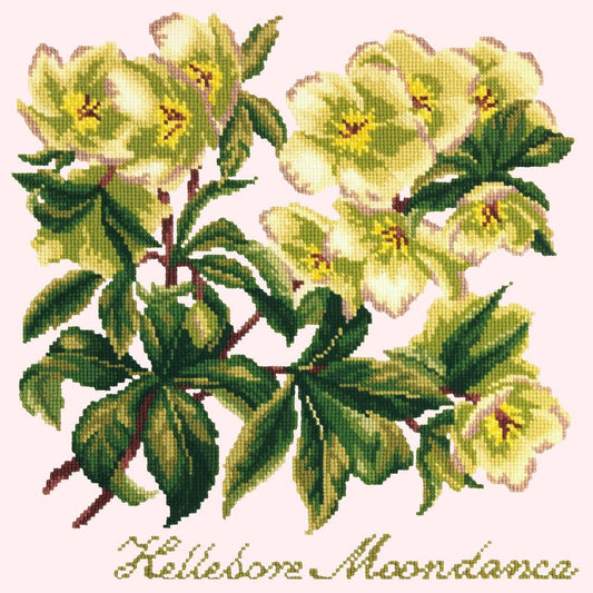 Hellebore Moondance Needlepoint Kit Kits Elizabeth Bradley Design Cream 