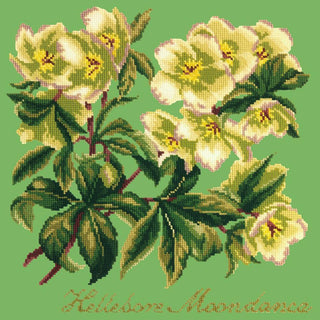 Hellebore Moondance Needlepoint Kit Kits Elizabeth Bradley Design Grass Green 

