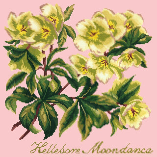 Hellebore Moondance Needlepoint Kit Kits Elizabeth Bradley Design Pale Rose 
