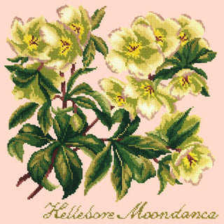 Hellebore Moondance Needlepoint Kit Kits Elizabeth Bradley Design Salmon Pink 
