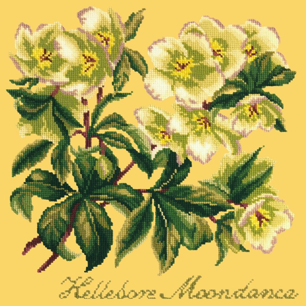 Hellebore Moondance Needlepoint Kit Kits Elizabeth Bradley Design Sunflower Yellow 
