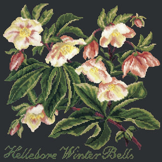 Hellebore Winter Bells Needlepoint Kit Kits Elizabeth Bradley Design Black 
