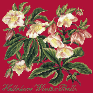 Hellebore Winter Bells Needlepoint Kit Kits Elizabeth Bradley Design Bright Red 
