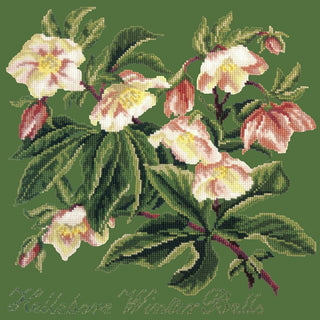 Hellebore Winter Bells Needlepoint Kit Kits Elizabeth Bradley Design Dark Green 

