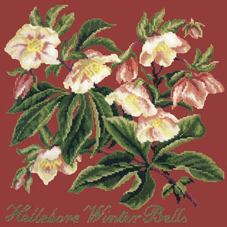 Hellebore Winter Bells Needlepoint Kit Kits Elizabeth Bradley Design Dark Red 

