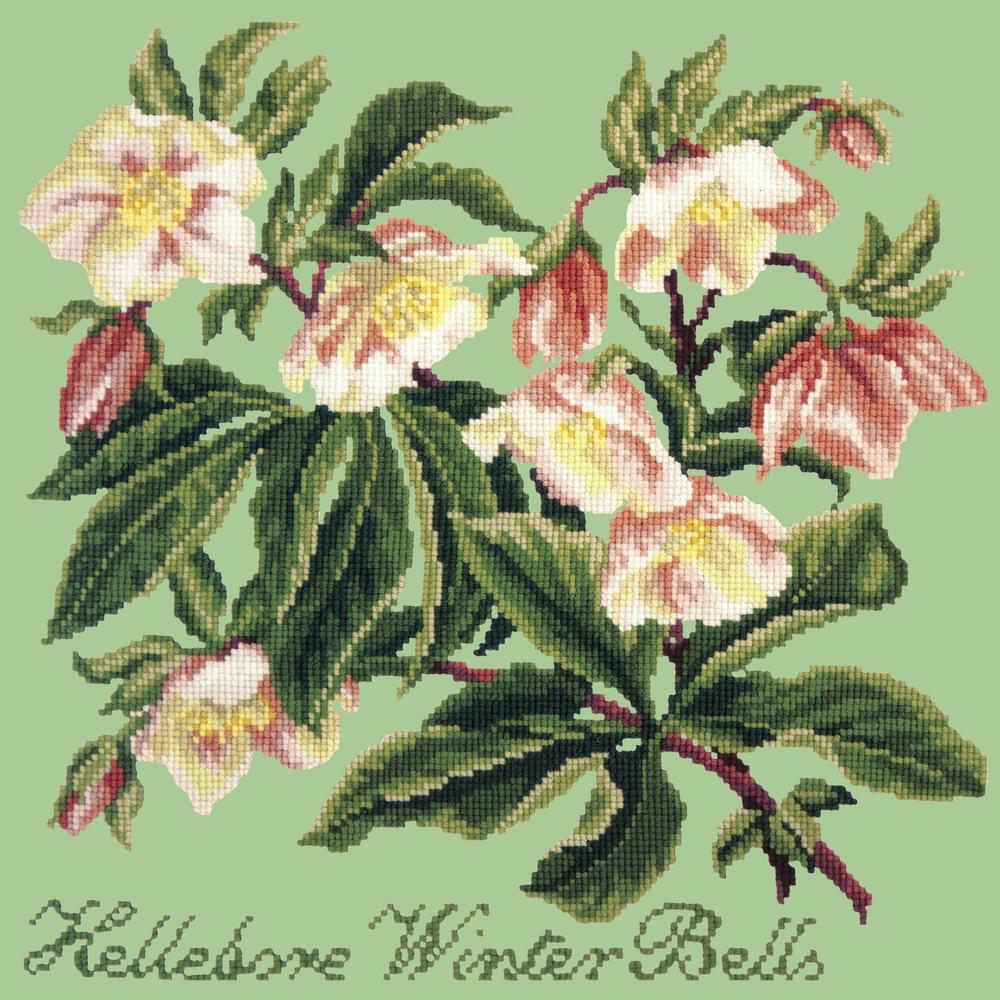 Hellebore Winter Bells Needlepoint Kit Kits Elizabeth Bradley Design Pale Green 