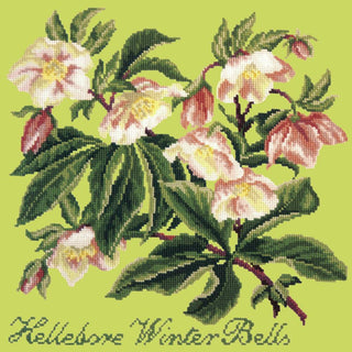 Hellebore Winter Bells Needlepoint Kit Kits Elizabeth Bradley Design Pale Lime 
