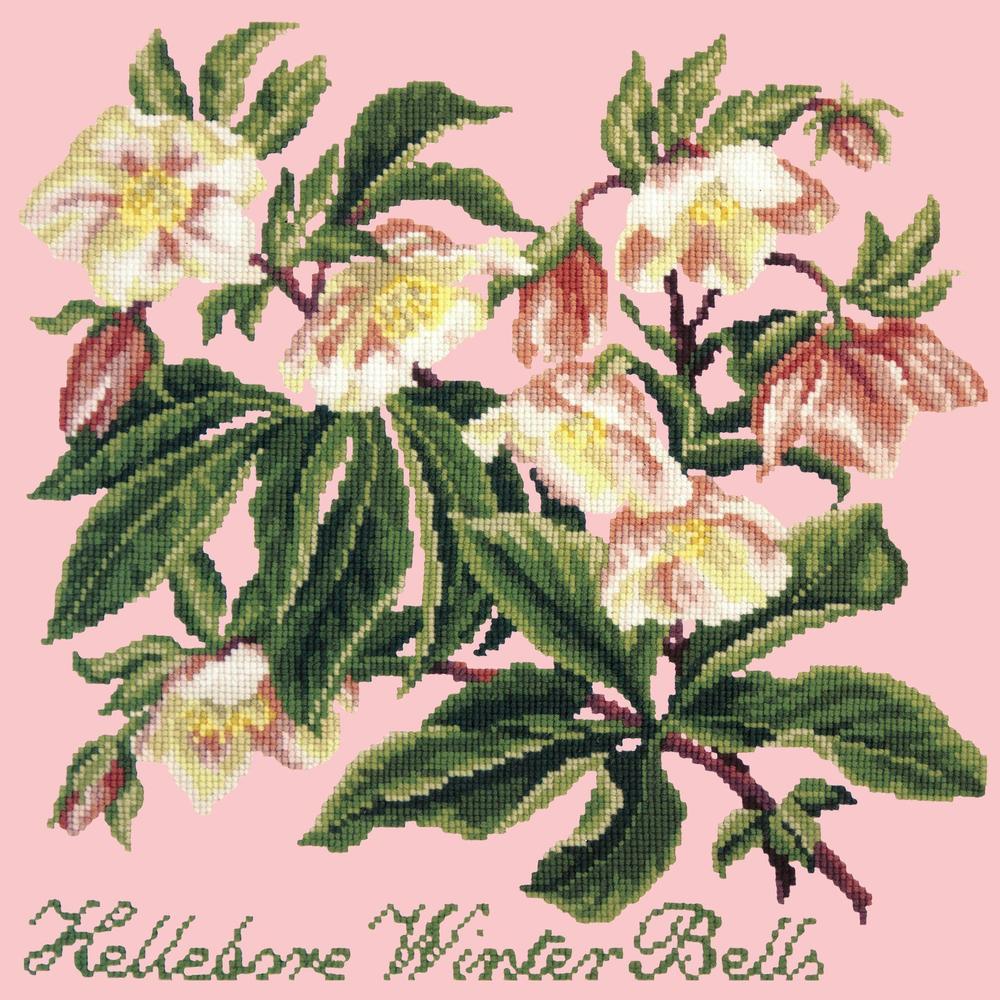 Hellebore Winter Bells Needlepoint Kit Kits Elizabeth Bradley Design Pale Rose 