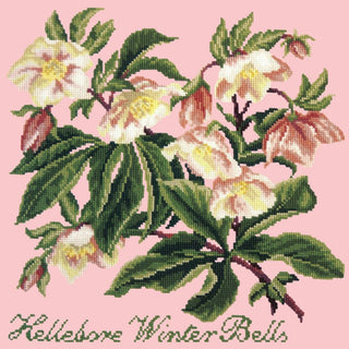 Hellebore Winter Bells Needlepoint Kit Kits Elizabeth Bradley Design Pale Rose 
