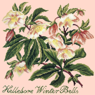 Hellebore Winter Bells Needlepoint Kit Kits Elizabeth Bradley Design Salmon Pink 
