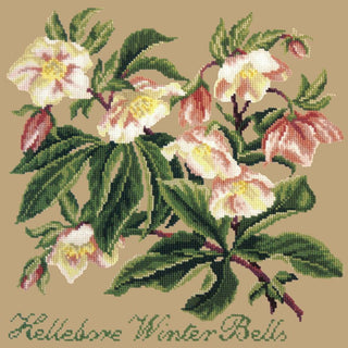Hellebore Winter Bells Needlepoint Kit Kits Elizabeth Bradley Design Sand 
